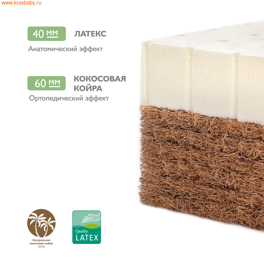   PLITEX   Bamboo Comfort 119*60*11  ()